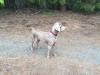 Moby standing side